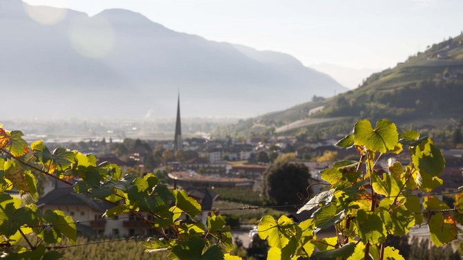 Kennenlernen: euer Weingut in Südtirol für Spitzenweine Kennenlernen: euer Weingut in Südtirol für Spitzenweine